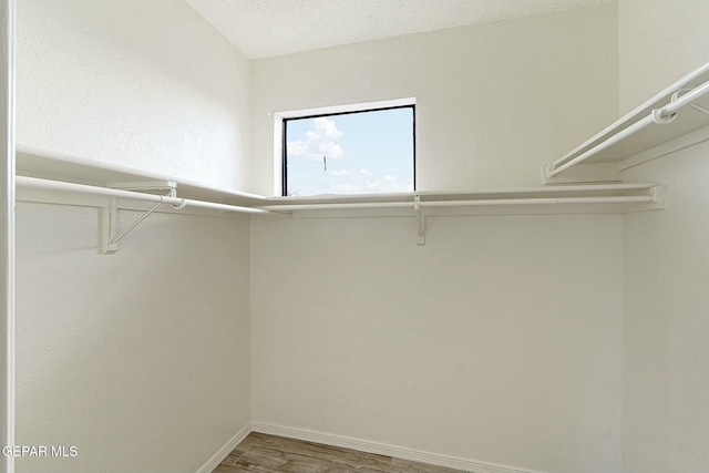 walk in closet featuring hardwood / wood-style flooring