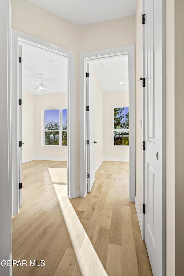 corridor with a wealth of natural light and light hardwood / wood-style floors