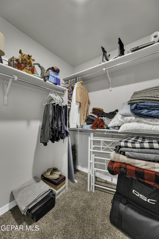 walk in closet with carpet flooring