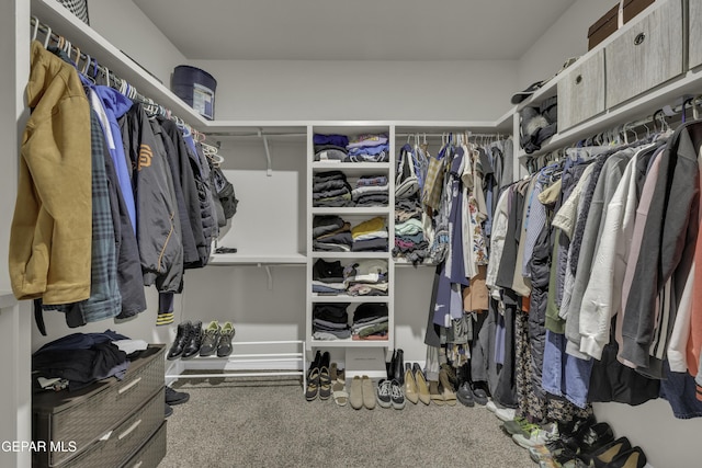 view of walk in closet