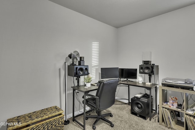 office featuring carpet