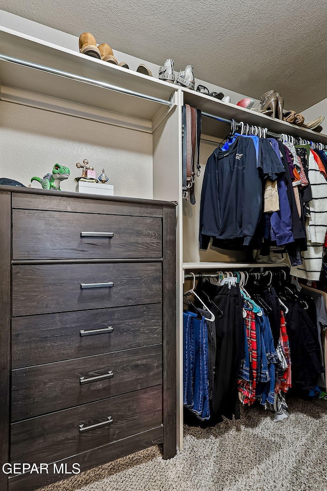 walk in closet with light carpet