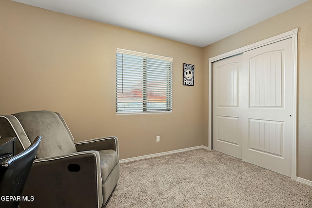 living area featuring light colored carpet