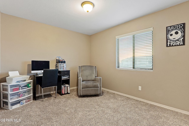 sitting room featuring carpet floors