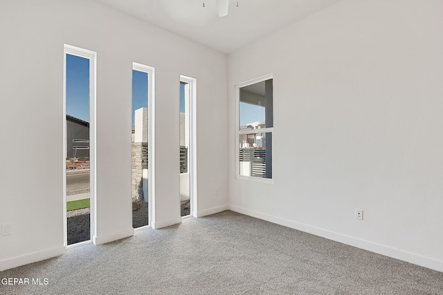 unfurnished bedroom featuring carpet flooring