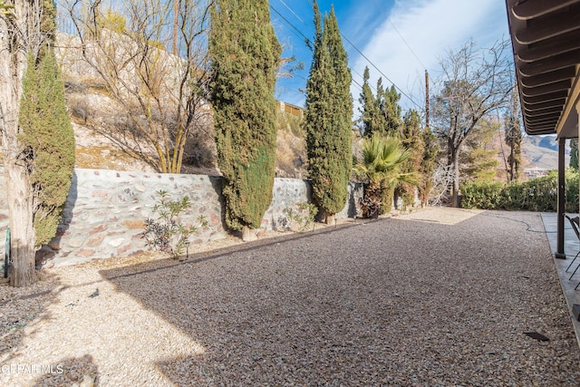 view of yard featuring a patio