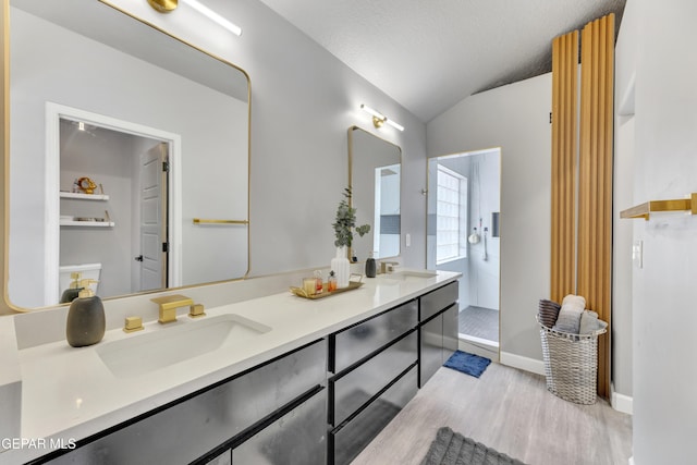 bathroom with vanity, vaulted ceiling, hardwood / wood-style floors, and a textured ceiling