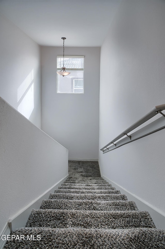 stairway with carpet floors