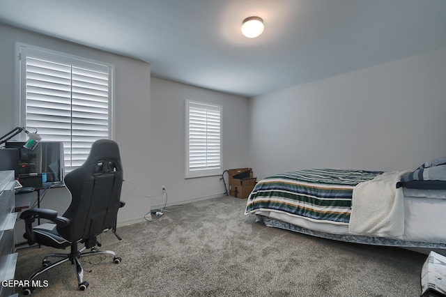 bedroom with carpet floors