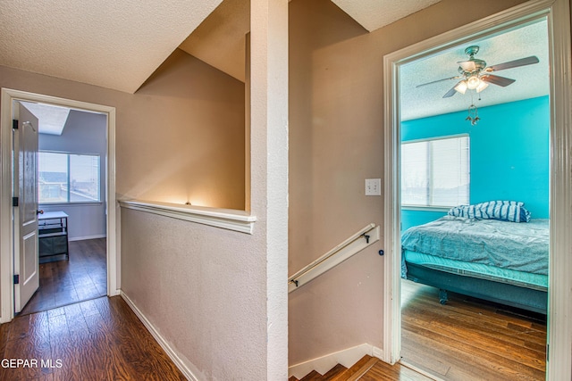 hallway with plenty of natural light, hardwood / wood-style floors, and a textured ceiling