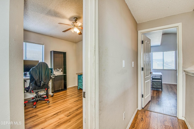 office featuring ceiling fan, light hardwood / wood-style floors, and a textured ceiling