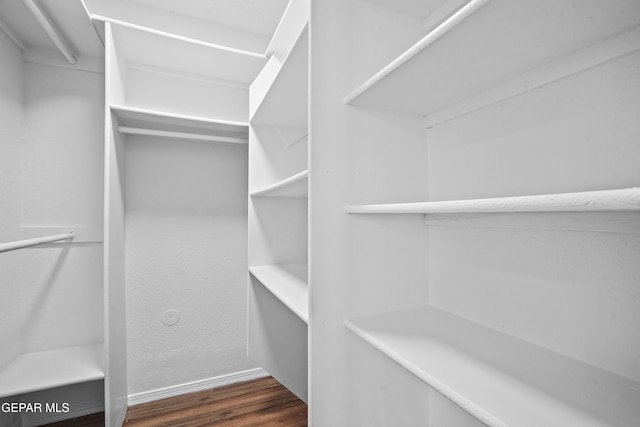 walk in closet featuring dark wood-type flooring