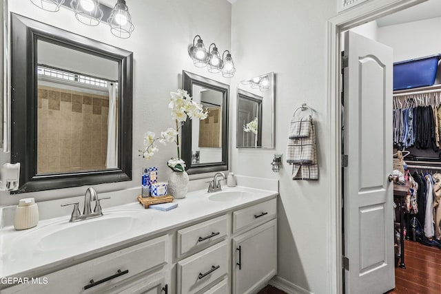 bathroom with hardwood / wood-style flooring and vanity