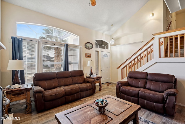 living room with high vaulted ceiling and light hardwood / wood-style flooring