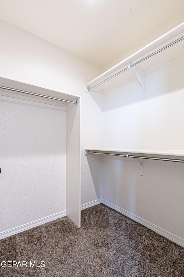 spacious closet featuring dark colored carpet