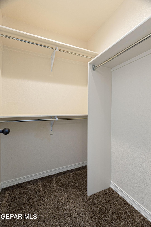 spacious closet with dark colored carpet