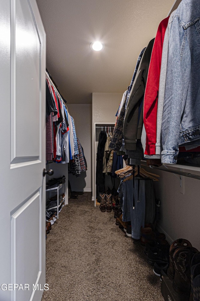 walk in closet with carpet