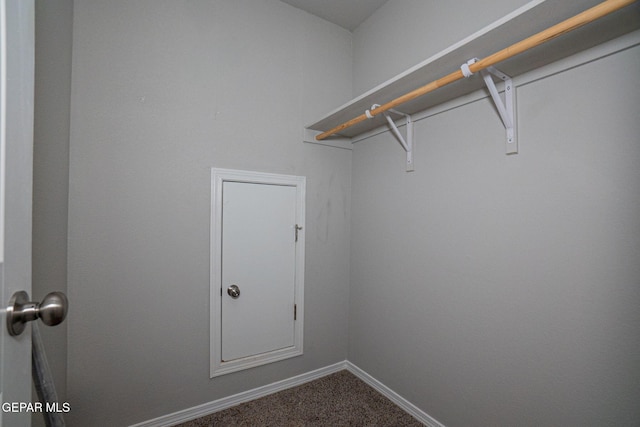 walk in closet featuring carpet