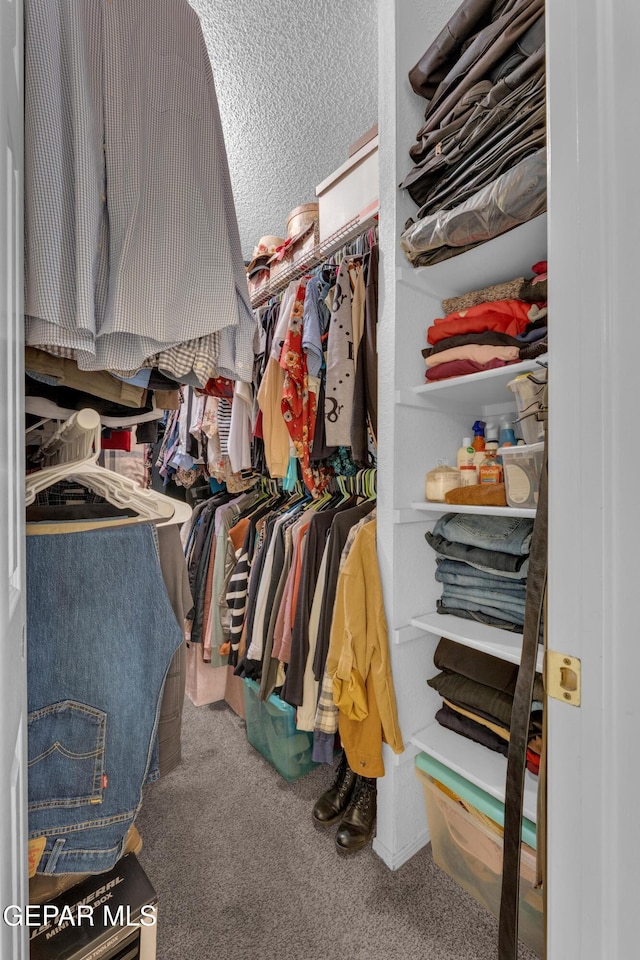 spacious closet with carpet