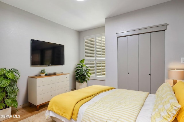 909 Singing Hills Dr, El Paso, TX 79912 - bedroom featuring light wood-type flooring and a closet