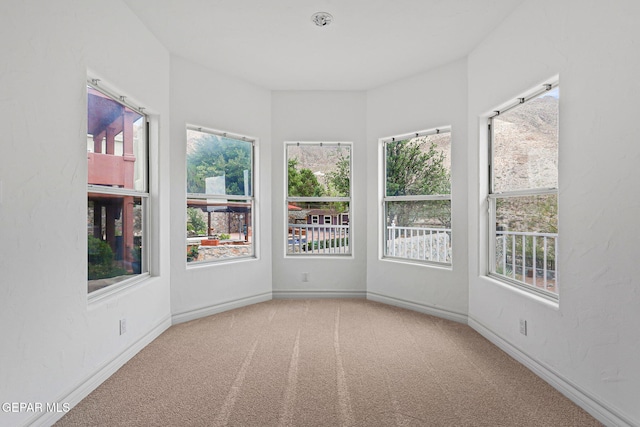 5566 Buckley Dr, El Paso, TX 79912 - photo 84