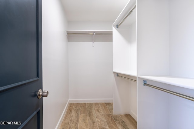 walk in closet featuring light hardwood / wood-style flooring