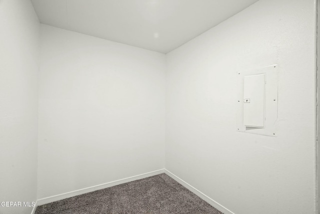 spare room with carpet and electric panel