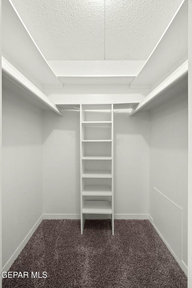 spacious closet with dark carpet