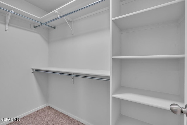 walk in closet with carpet floors