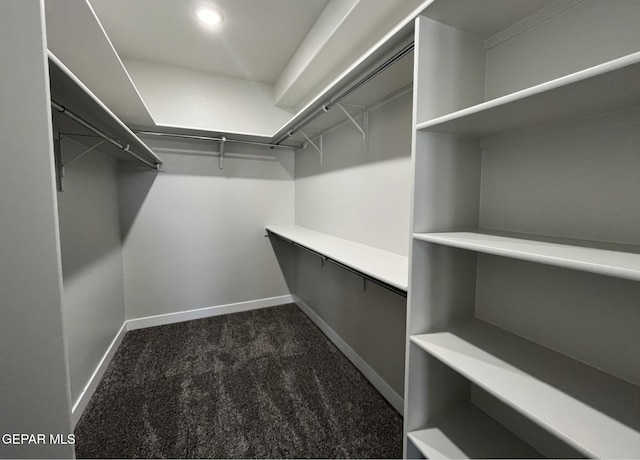 walk in closet with dark carpet