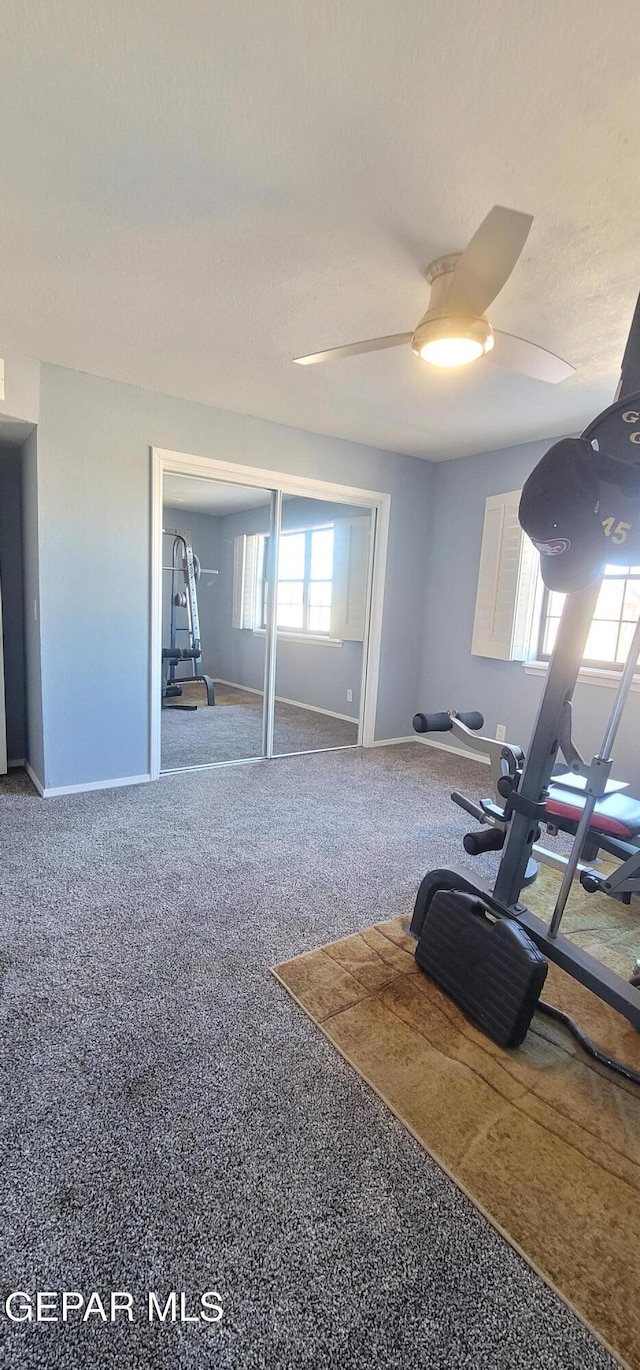 exercise area featuring plenty of natural light, carpet, and ceiling fan