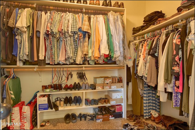 view of spacious closet