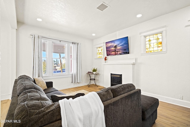 living room with wood-type flooring and a textured ceiling