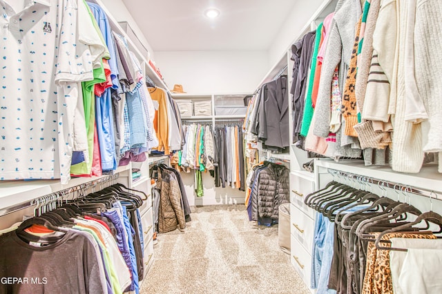 spacious closet featuring light colored carpet