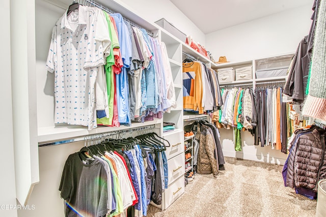 walk in closet with light colored carpet