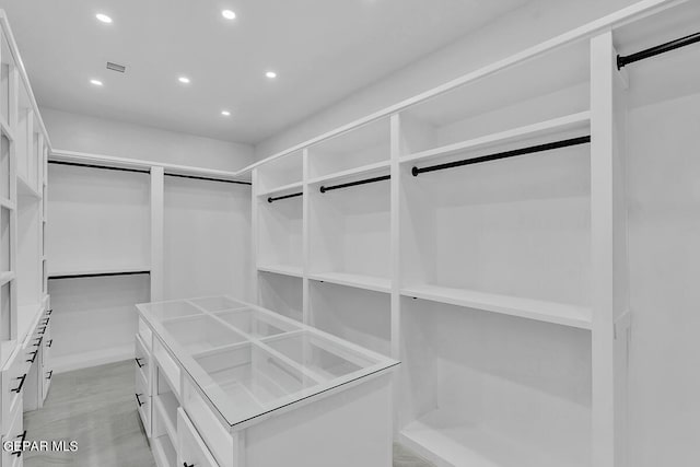 view of walk in closet