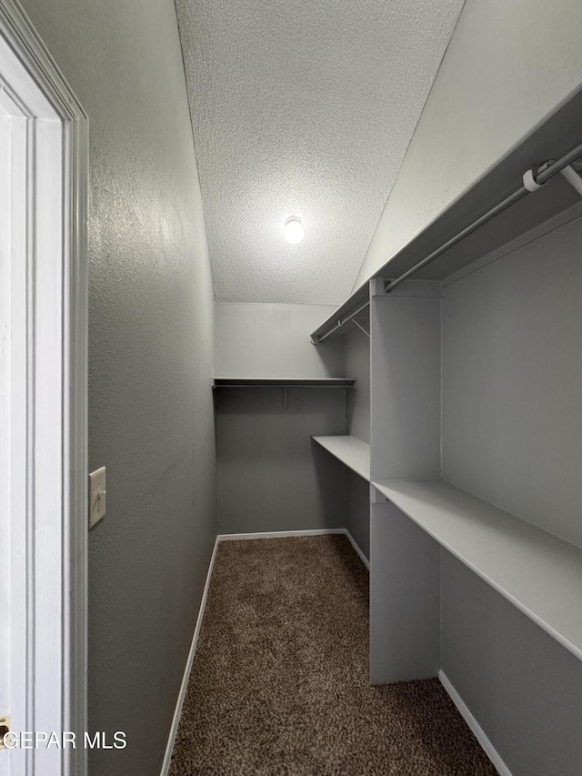 walk in closet with vaulted ceiling and carpet