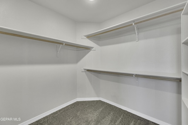 spacious closet featuring carpet flooring