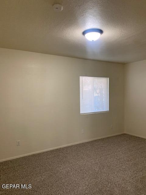 unfurnished room with carpet and a textured ceiling