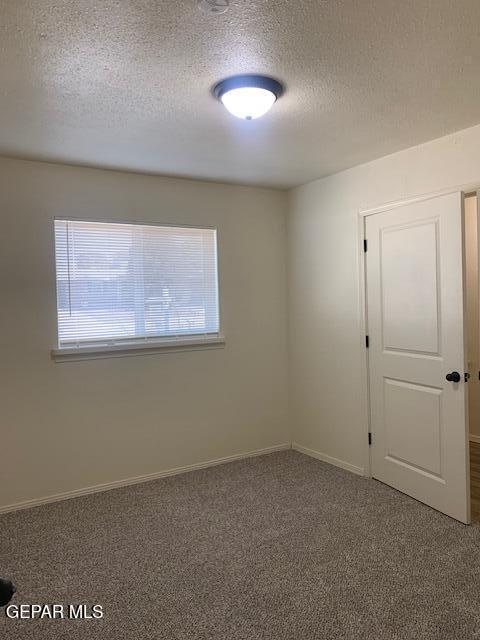 spare room featuring a textured ceiling and carpet