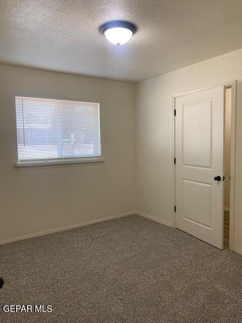 unfurnished room featuring carpet floors and a textured ceiling