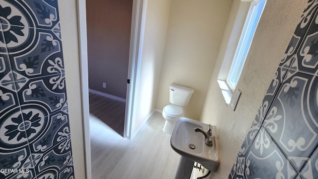 bathroom with sink, wood-type flooring, and toilet