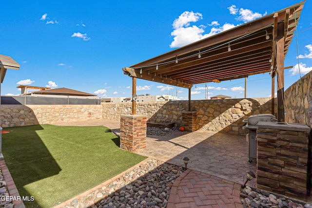 view of yard featuring a patio