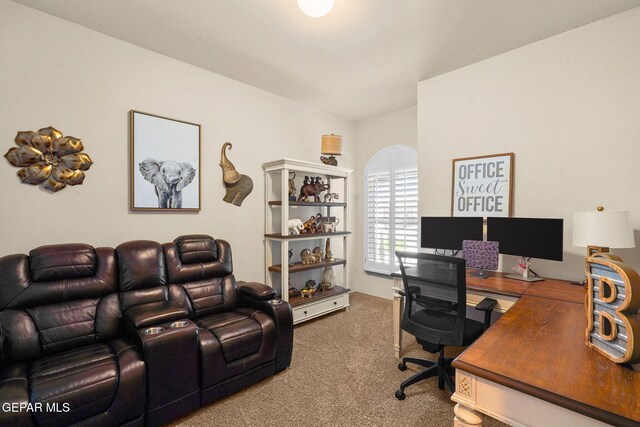 office area featuring carpet floors