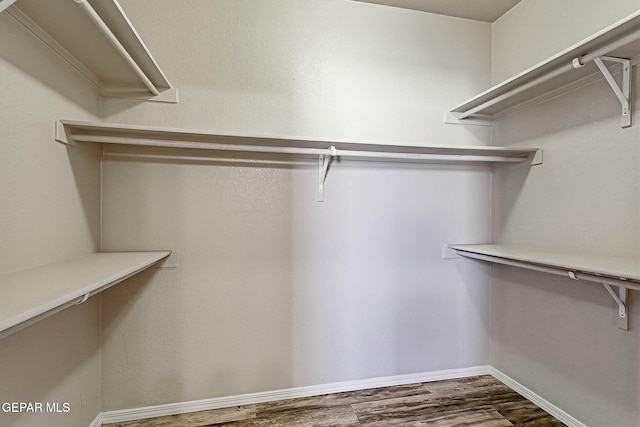 spacious closet with wood-type flooring