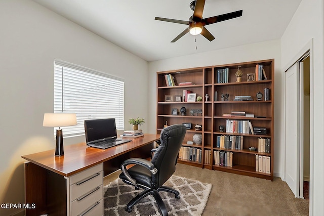 220 Emerald Brass, Horizon City, TX 79928 - photo 4