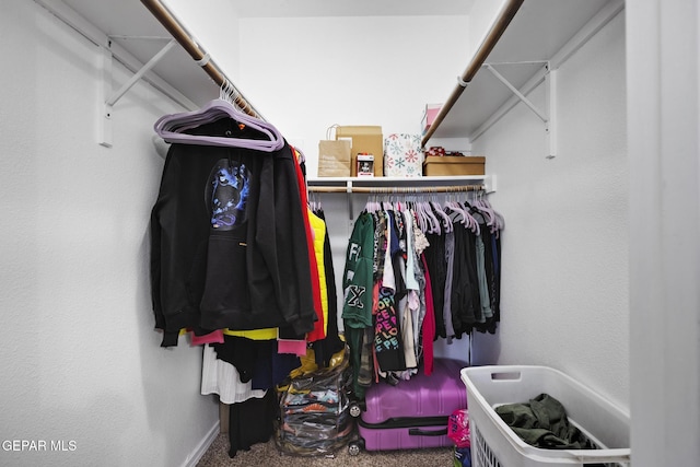 spacious closet featuring carpet floors