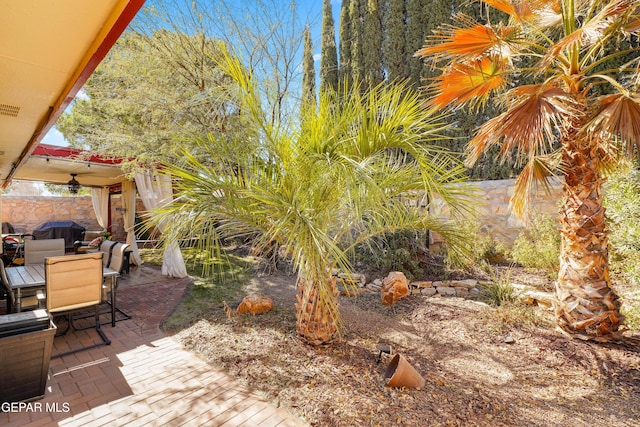 view of yard with a patio