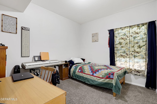 bedroom with dark colored carpet