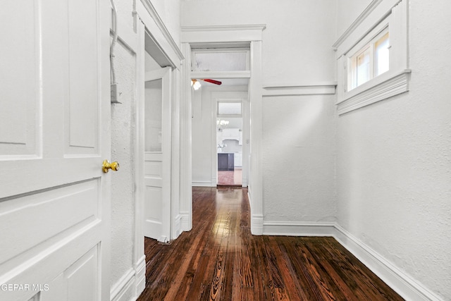 hallway featuring dark hardwood / wood-style floors